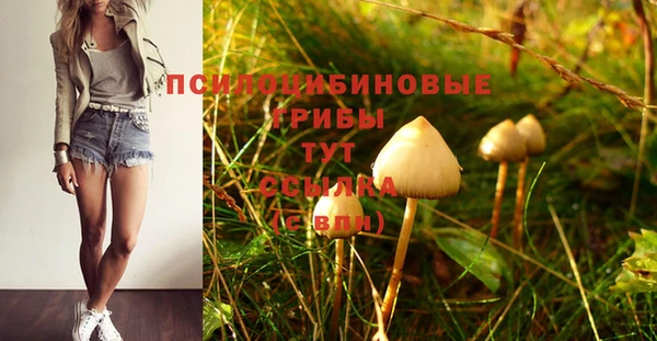 а пвп мука Абинск